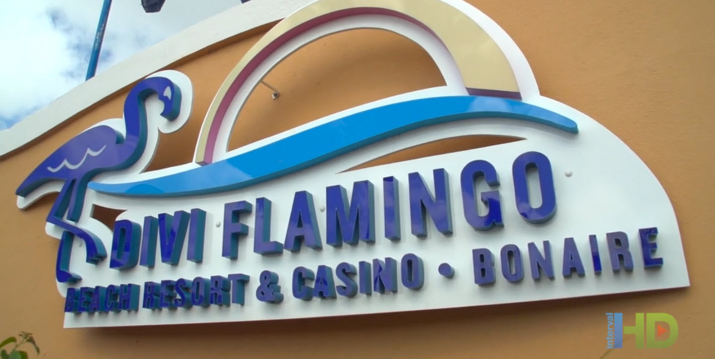 Divi Flamingo Beach